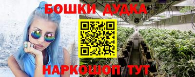 бошки Будённовск