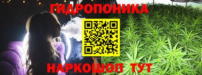 бошки Будённовск
