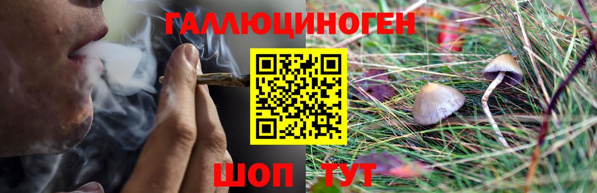 Псилоцибиновые грибы мухоморы  Галлюциногенные грибы GOLDEN TEACHER  Вход с VPN  Батайск 