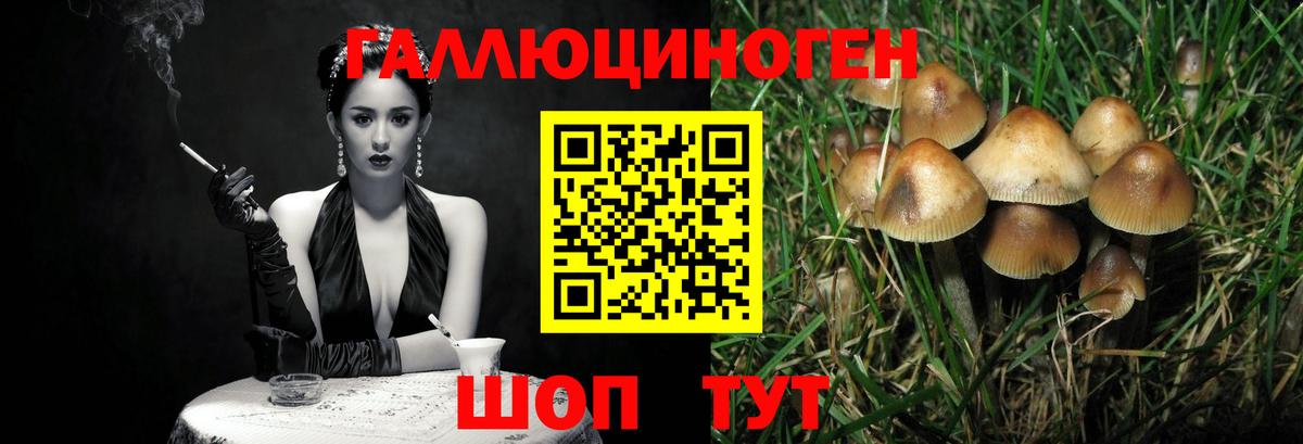 Псилоцибиновые грибы Cubensis Батайск
